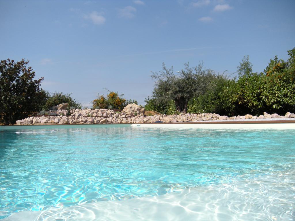 La Frejade * Lisle-sur-Tarn